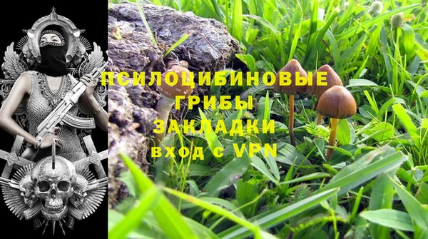 ALPHA-PVP Кодинск